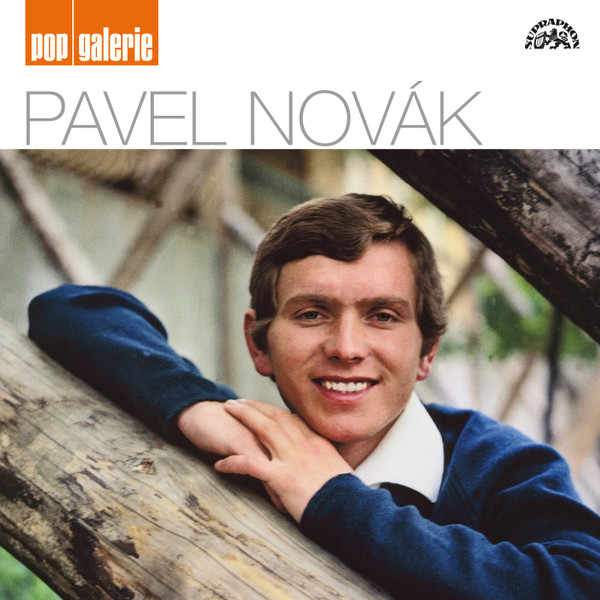 Pavel Novák - Pop Galerie