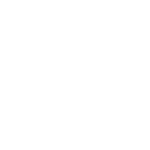 THE OUT GYM
