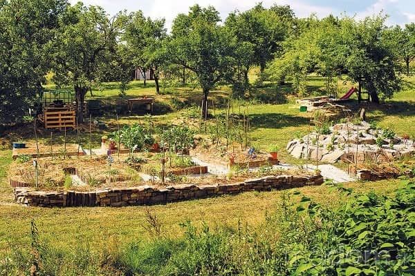 Prečo komunitná záhrada?