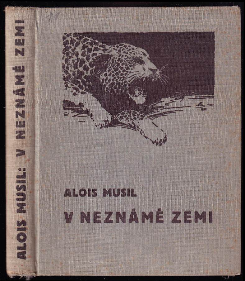 V neznámé zemi