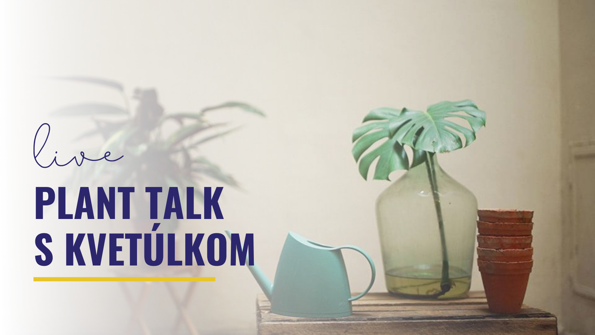 Plant talk s Kvetúlkom