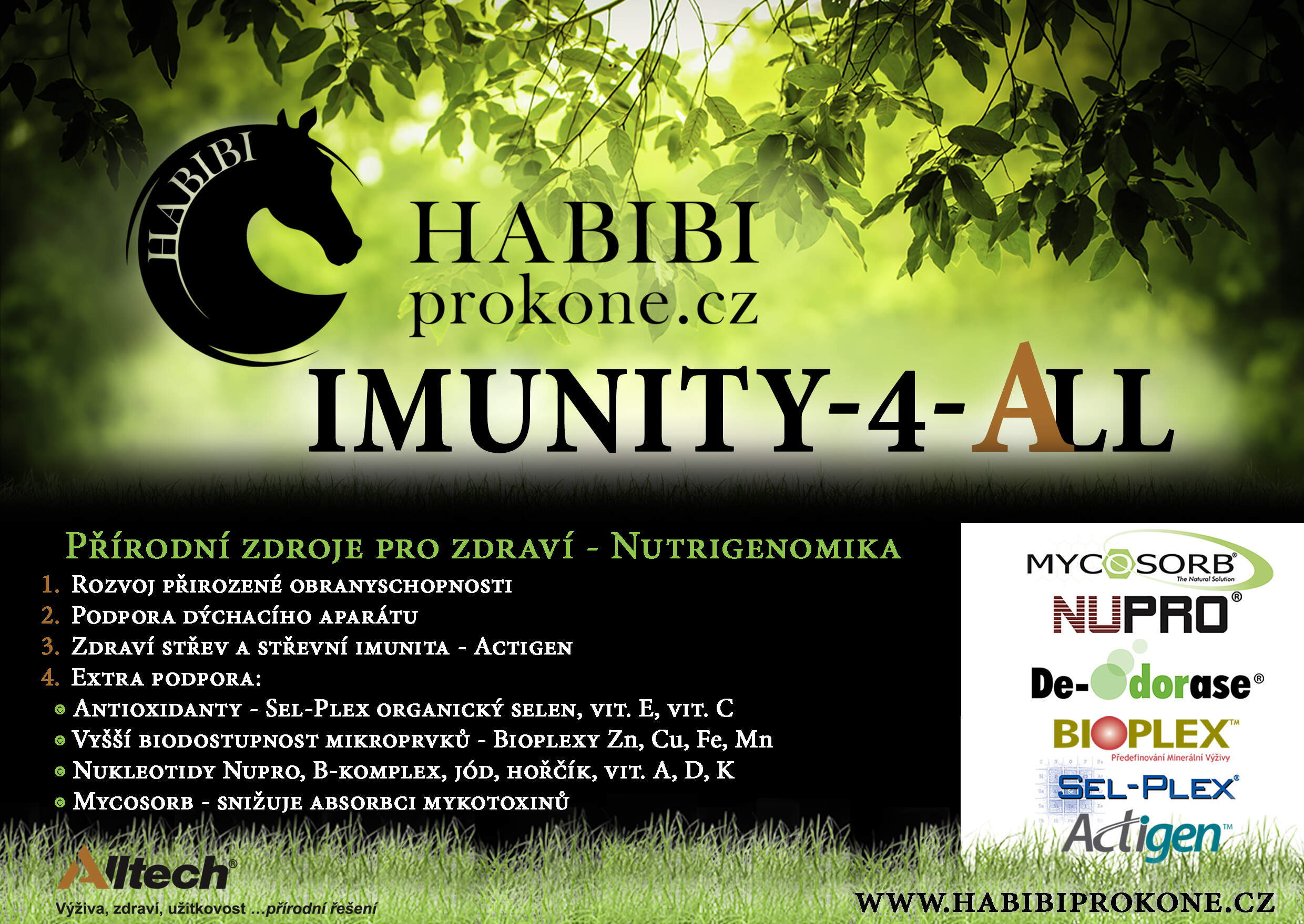 Habibi IMUNITY-4-ALL