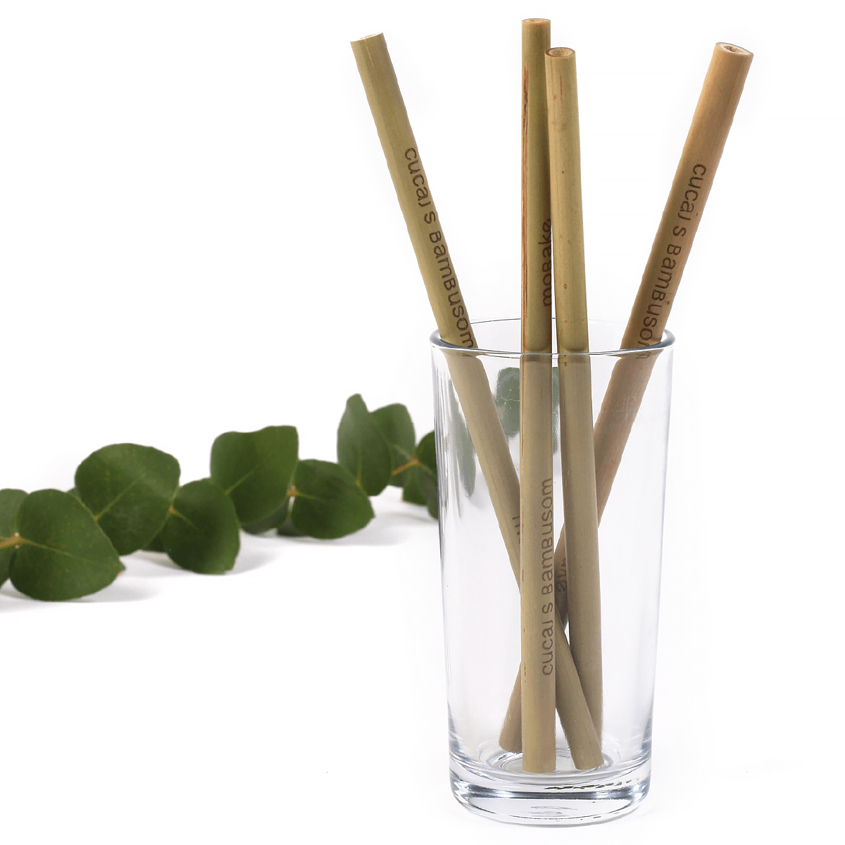 Slamka bambusová