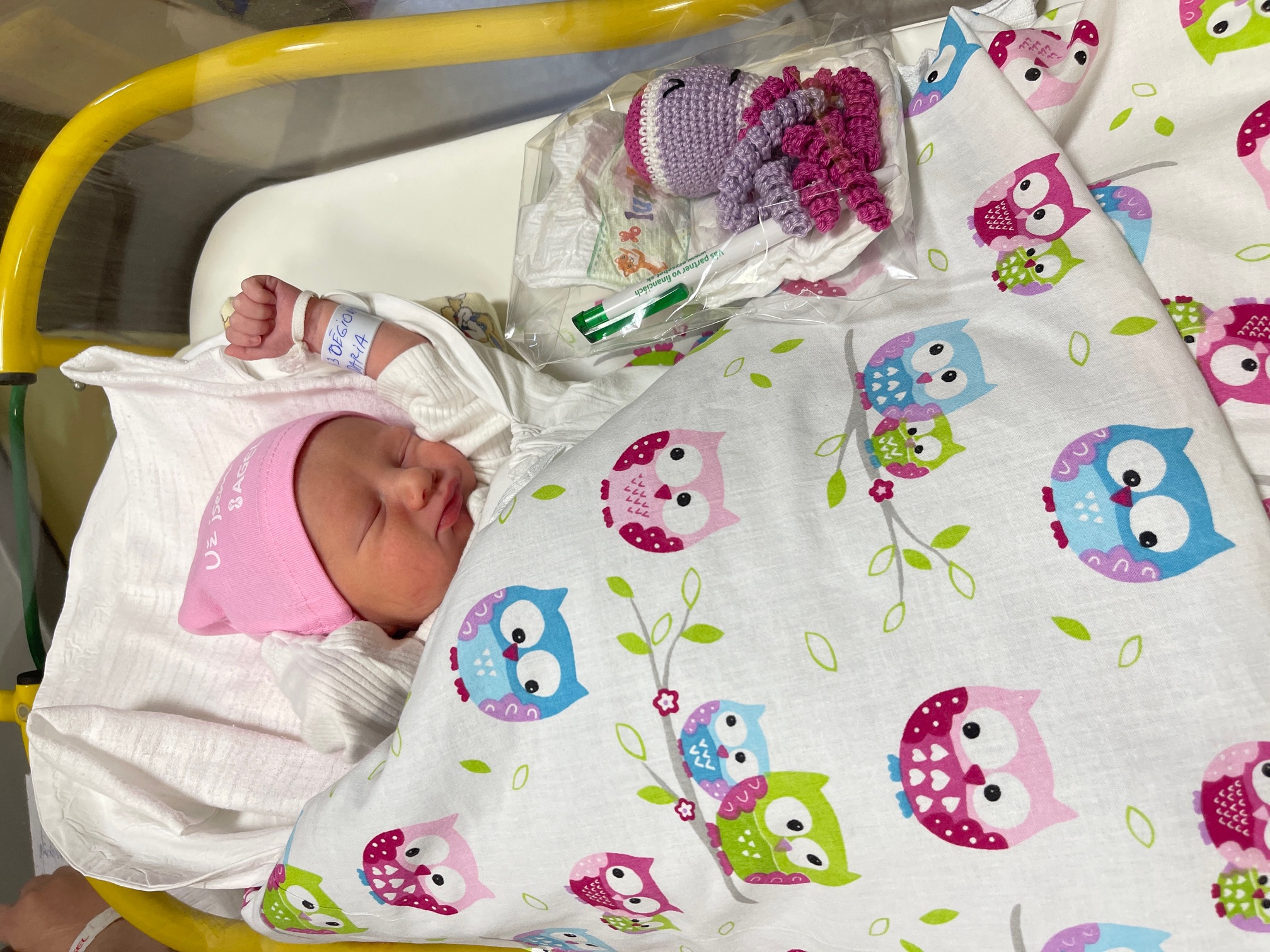 Ismét horgolt polipokat adományoztak a komáromi kórház újszülöttjeinek