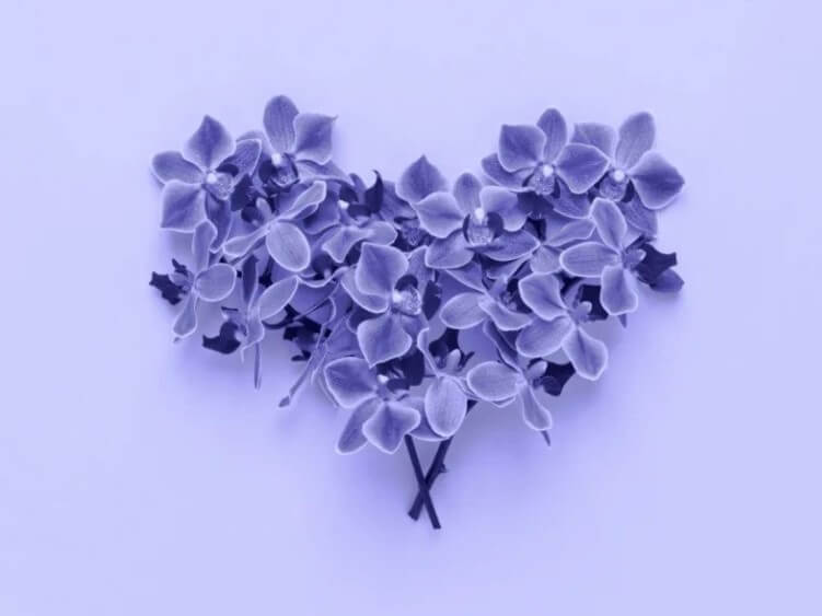 srdce z fialových kvetov
