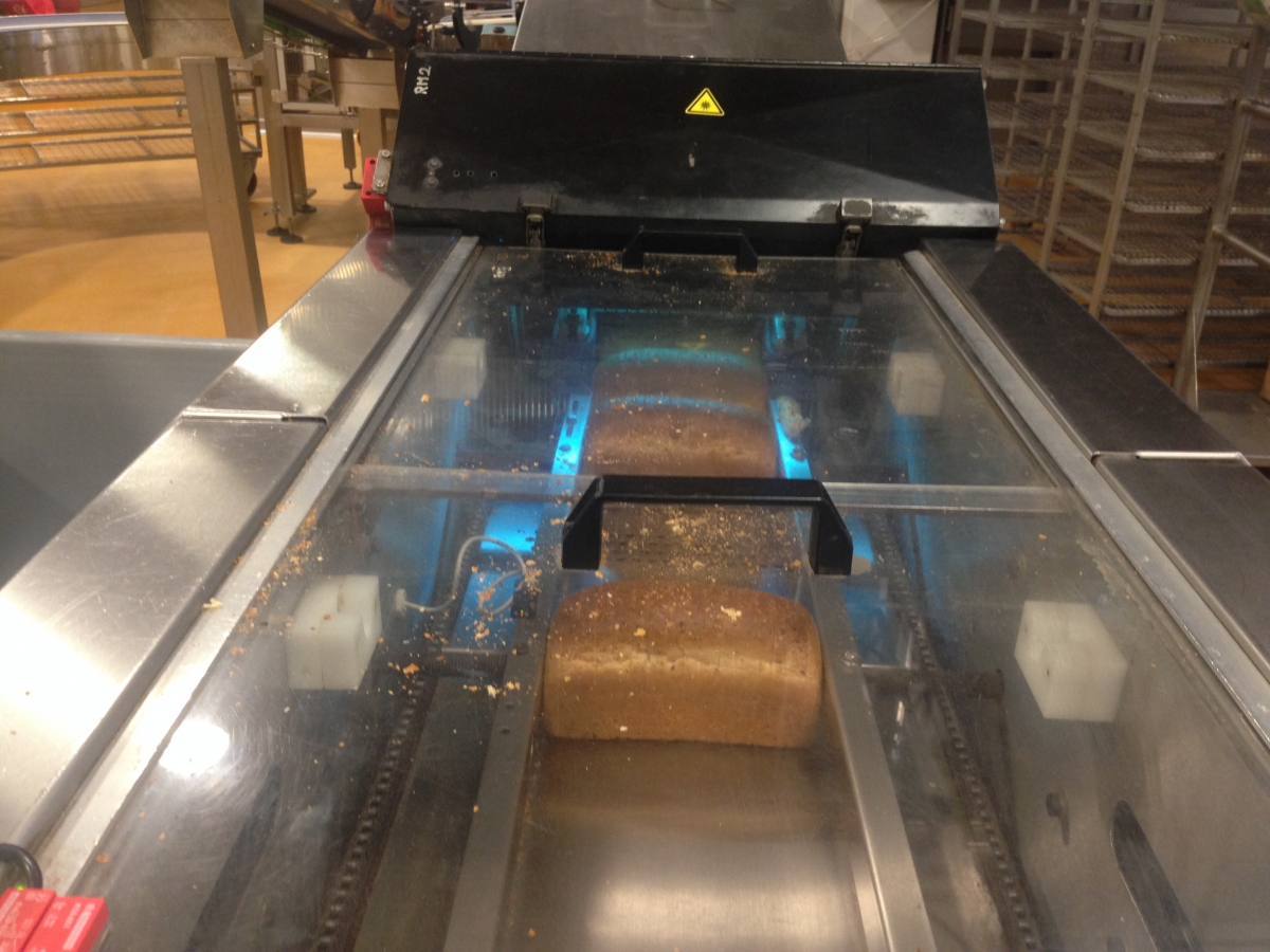 Potravinárska výroba: Výskyt mikroorganizmov pri výrobe chleba